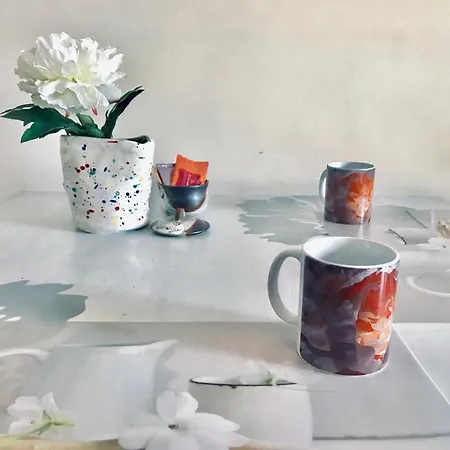 Peony Apartment, Bi-locale A Due Passi Dal Centro Di