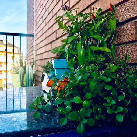 Peony Apartment, Bi-locale A Due Passi Dal Centro Di Appartamento *